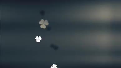 精美梦幻的三叶草等图形粒子主题展示视频的预览图